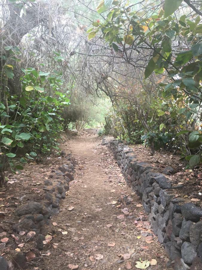 圣克鲁斯-德特内里费Urbanizacion Playa Chica公寓 外观 照片